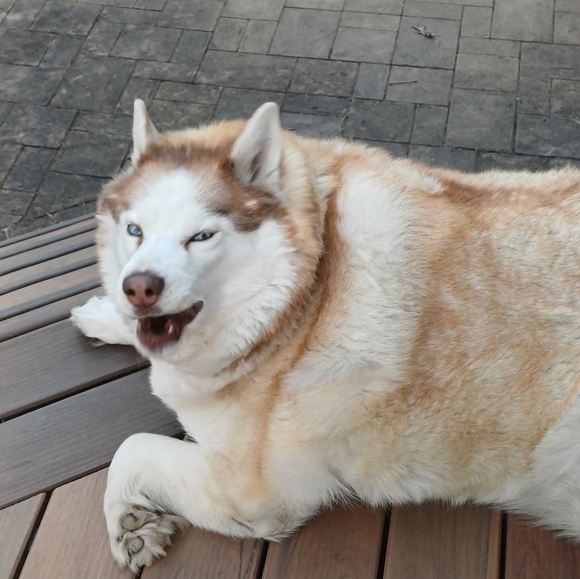 342 - Picture 1 of 1